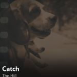 Jon Kowit and The Hill Turn Love and Loss Into Song With ‘Catch’
